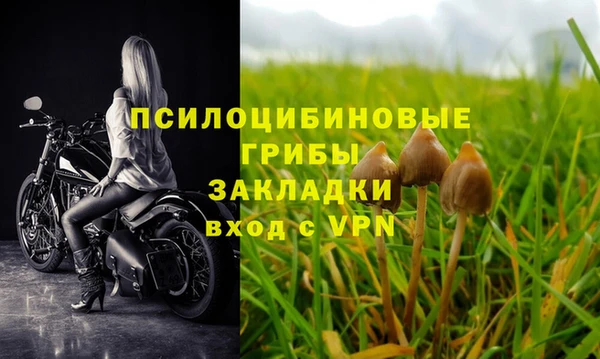 2c-b Кукмор