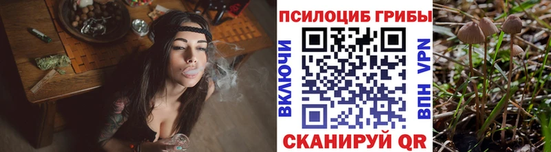 Галлюциногенные грибы Psilocybine cubensis  Кропоткин 