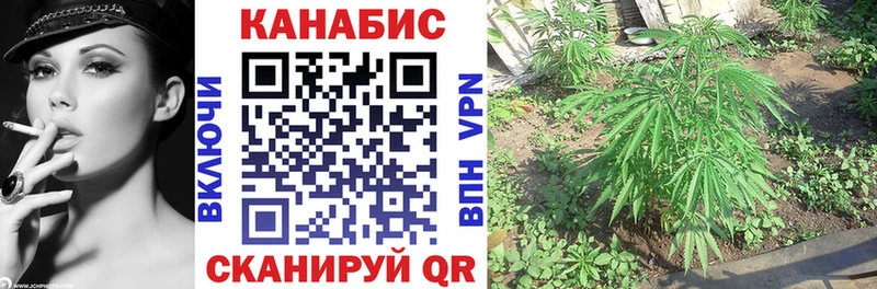 Канабис гибрид магазин наркотиков Кропоткин